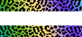 set5