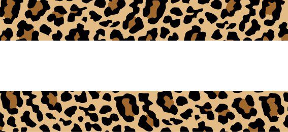 set4